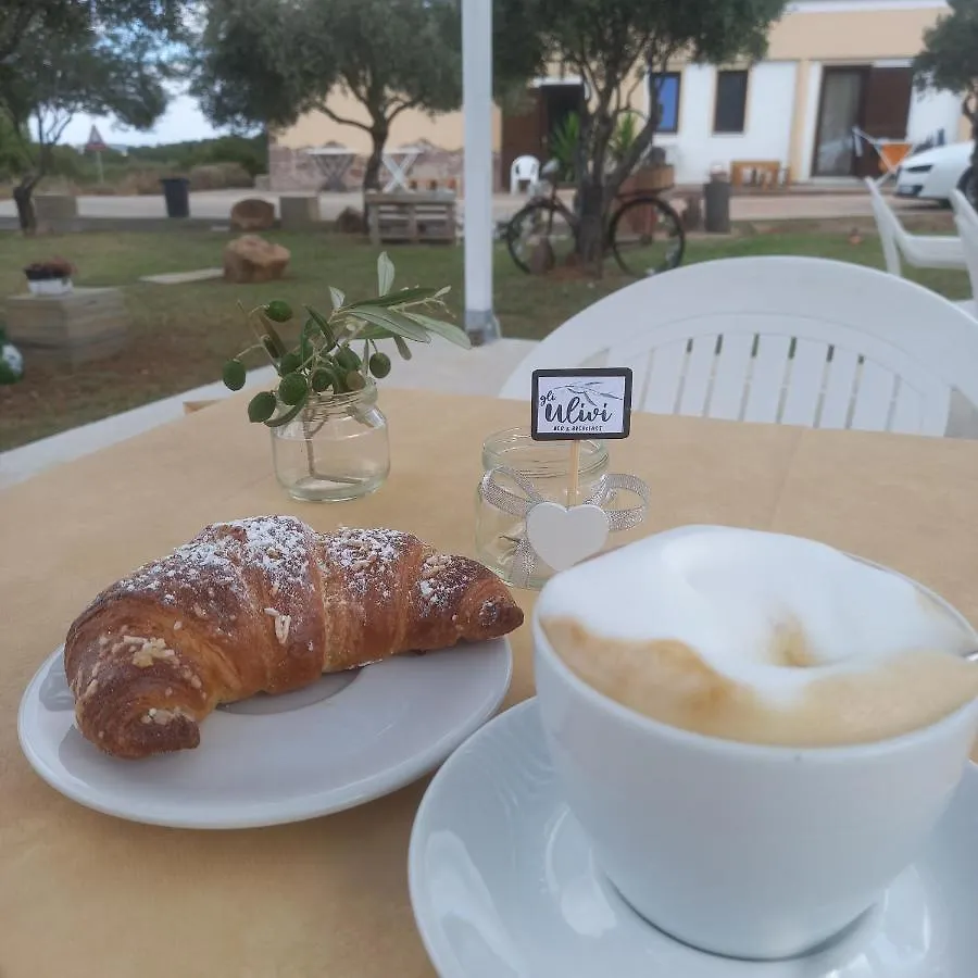 B&B Gli Ulivi SantʼAnna Arresi Italia