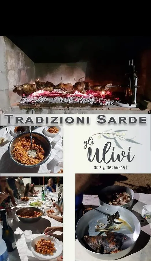 Bed & Breakfast B&B Gli Ulivi SantʼAnna Arresi