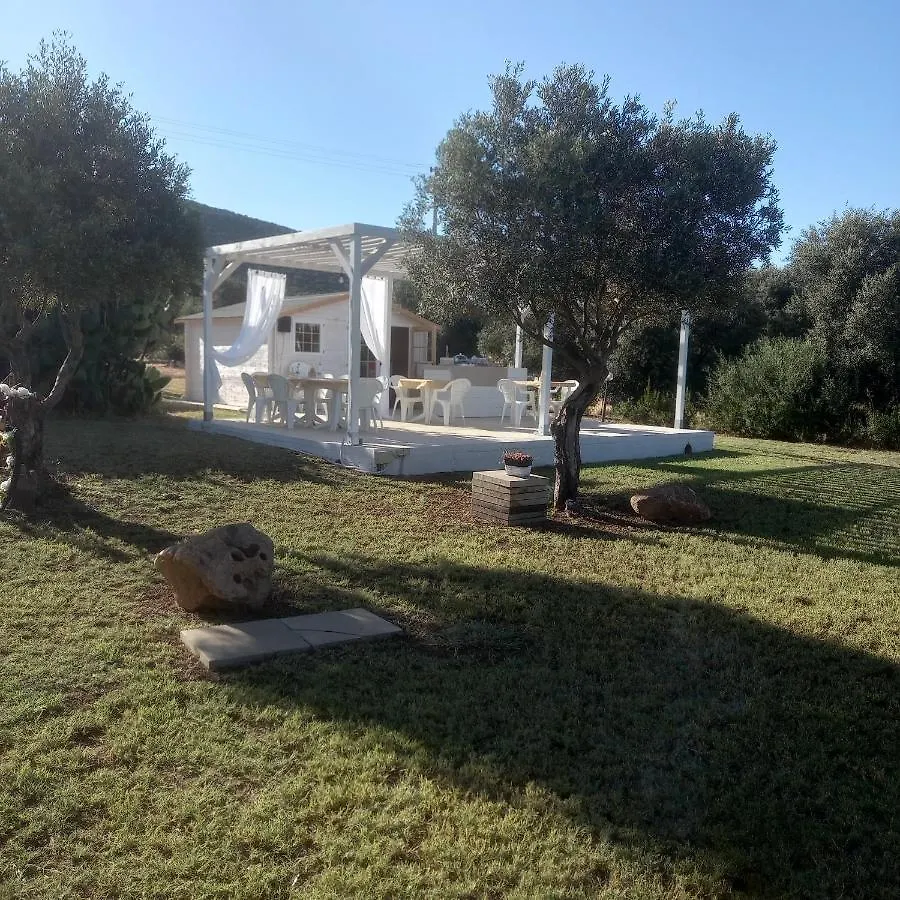 B&B Gli Ulivi SantʼAnna Arresi 0*,