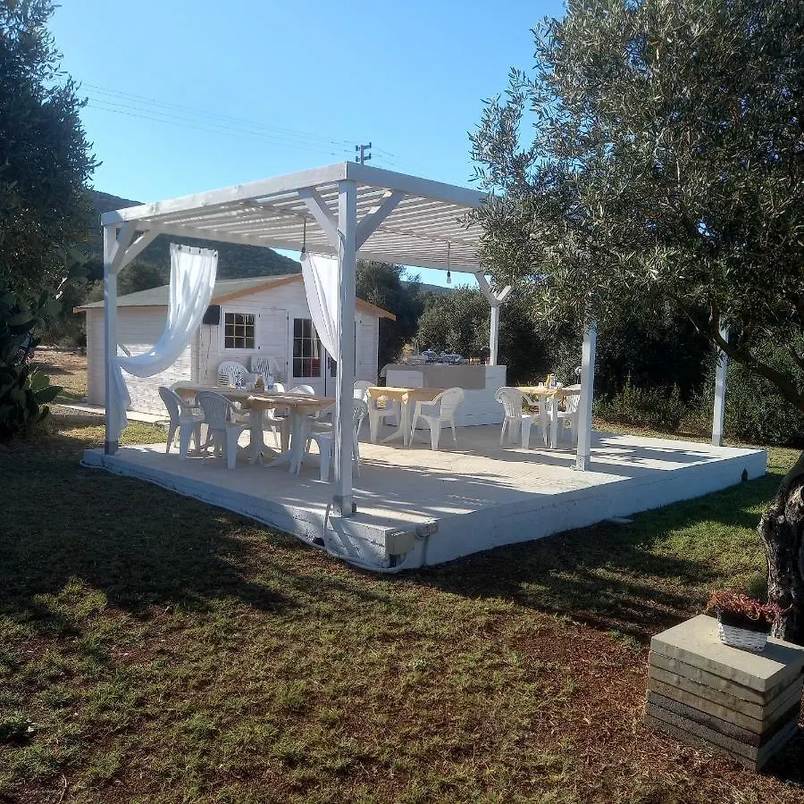 B&B Gli Ulivi SantʼAnna Arresi Bed & Breakfast